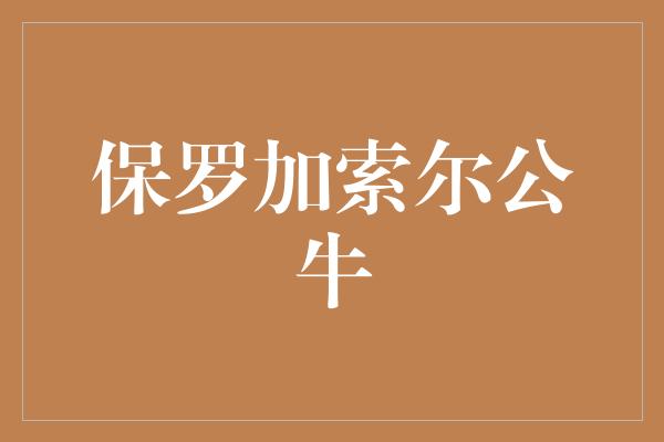 保罗加索尔公牛