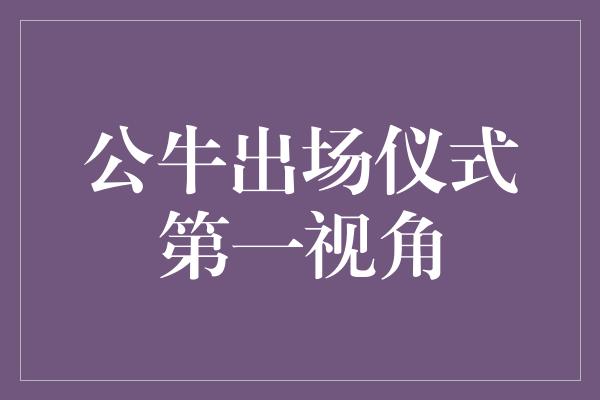 观众！热血激昂！公牛出场仪式第一视角