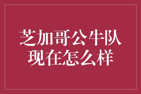 芝加哥公牛队现在怎么样