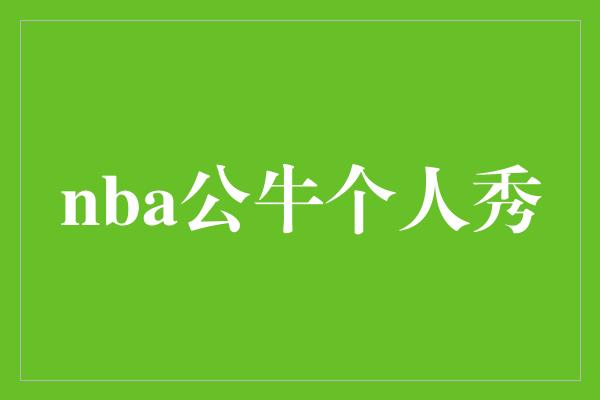 nba公牛个人秀