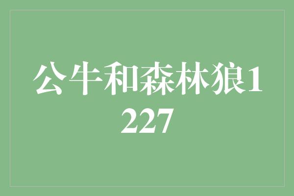 观众！公牛和森林狼1227 激烈对决引爆篮球热潮