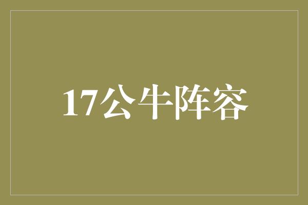 公牛队！17公牛阵容 重组力量，冲击总冠军！