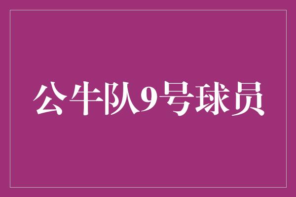 公牛队9号球员