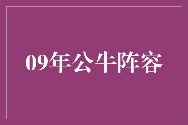 09年公牛阵容