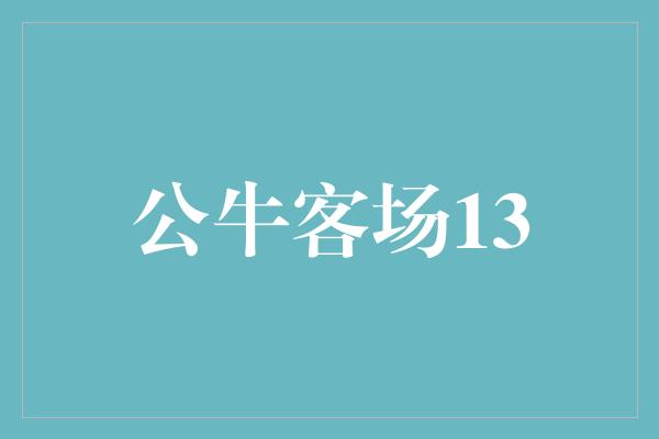 公牛客场13