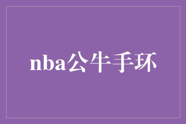 推送！打造完美身体，NBA公牛手环助你一臂之力！