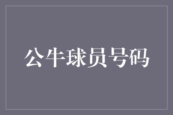 公牛队！球场上的英雄 公牛球员号码的背后故事