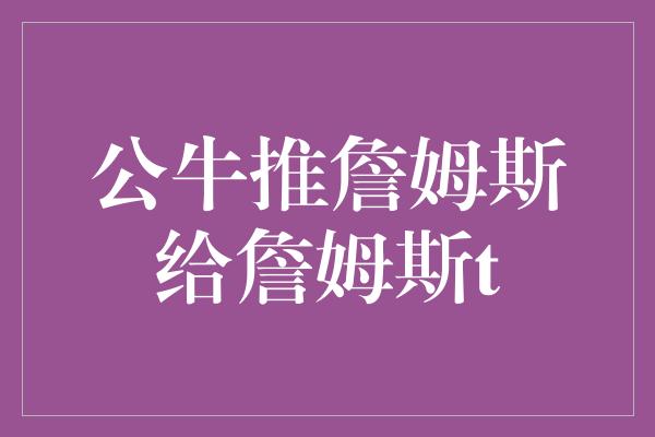 公牛推詹姆斯给詹姆斯t