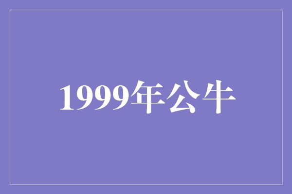 1999年公牛