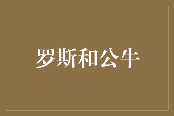 罗斯和公牛