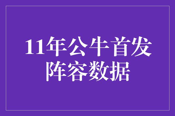 11年公牛首发阵容数据