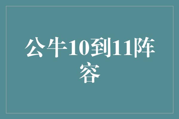 公牛队！公牛10到11阵容 青春力量的崛起