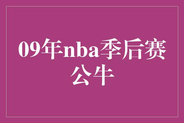 公牛队！回顾09年NBA季后赛 公牛的辉煌与坚持