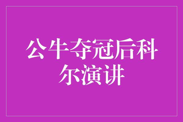 付出！公牛夺冠后科尔演讲 荣耀背后的团队力量