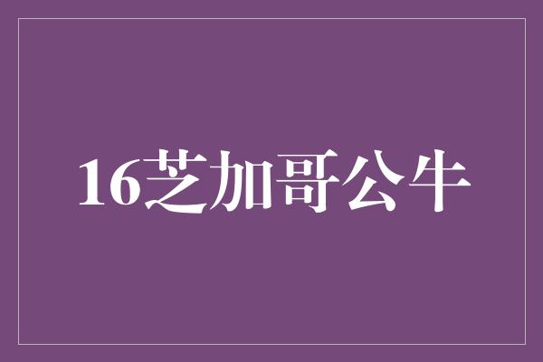 公牛队！重返巅峰，16芝加哥公牛注定辉煌之路