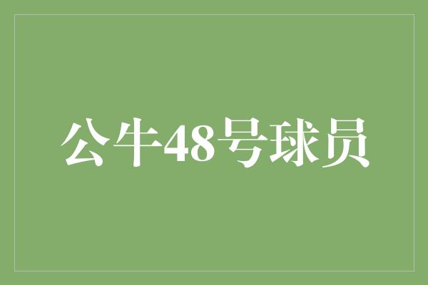 公牛队！突破极限，追逐梦想——探秘公牛48号球员的传奇故事