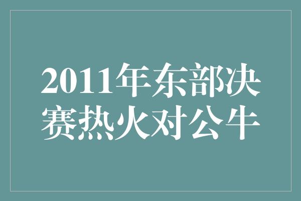 2011年东部决赛热火对公牛