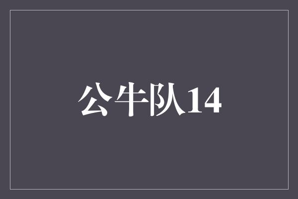 公牛队！创造历史！公牛队14 重新定义团队荣耀的时刻