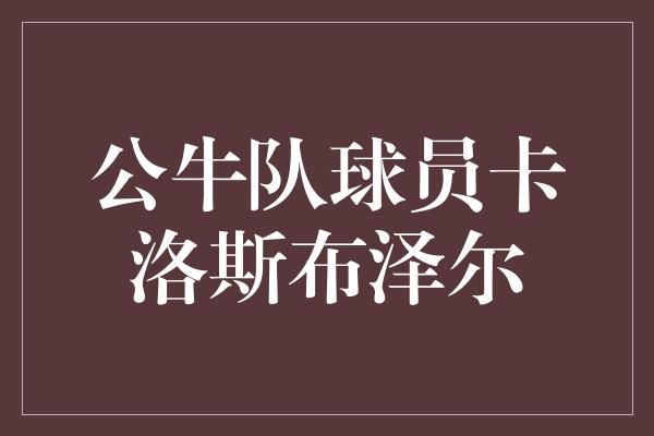 公牛队球员卡洛斯布泽尔