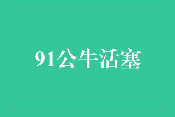 91公牛活塞