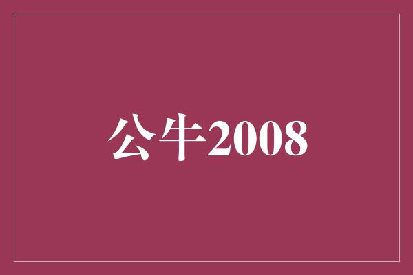 公牛队！公牛2008 勇往直前的传奇之旅