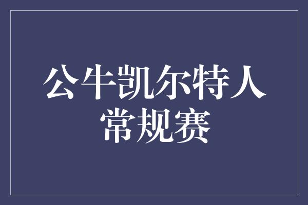 公牛队！纷争激烈的对决！公牛VS凯尔特人常规赛火爆开战