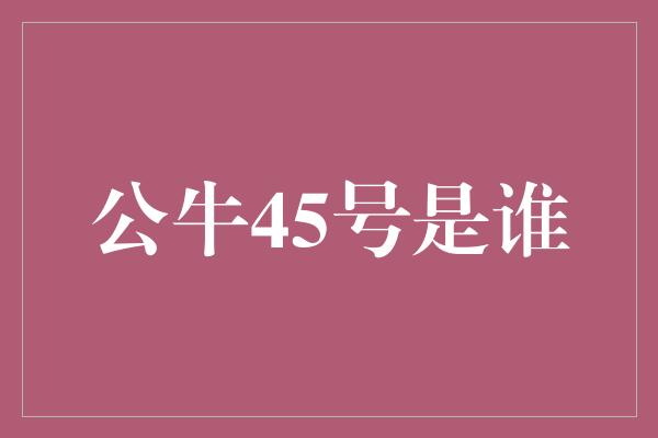 号码！公牛45号 荣耀与传奇的化身