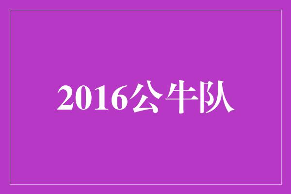 公牛队！回顾2016年公牛队的辉煌时刻