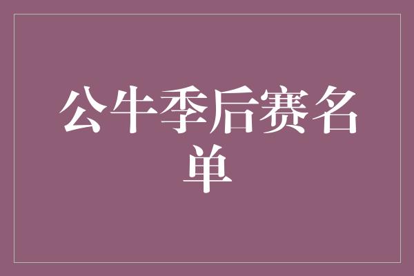 公牛队！公牛精英阵容蓄势待发，迎战季后赛的挑战！