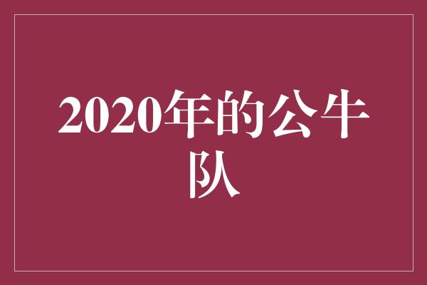 公牛队！重生的力量——2020年的公牛队