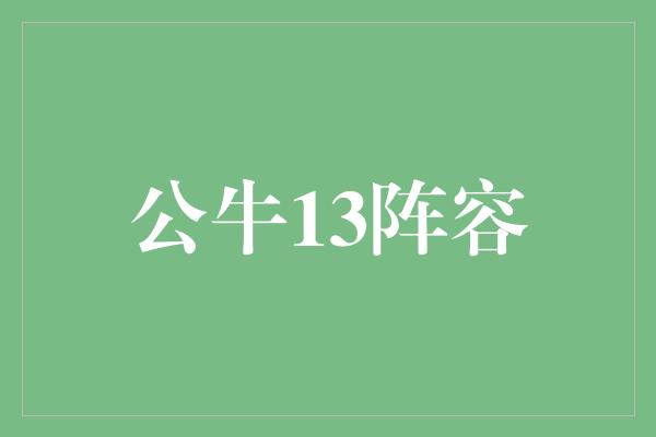 公牛队！重返巅峰！公牛13阵容决胜未来