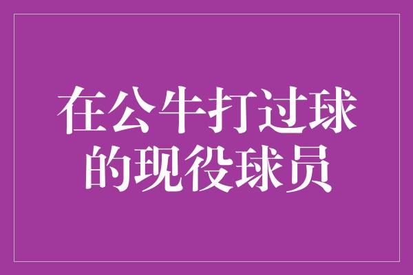 公牛队！从光芒到辉煌 公牛队现役球员的篮球之旅