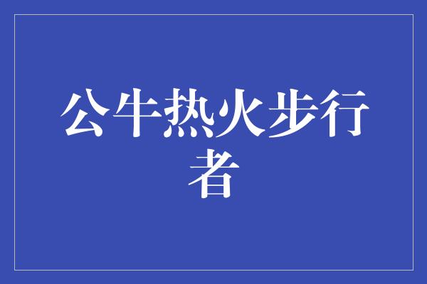 公牛热火步行者