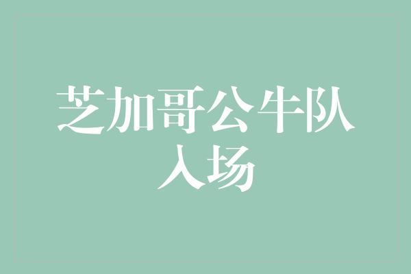 芝加哥公牛队入场