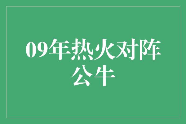 公牛队！09年热火对阵公牛 一场传奇的对决