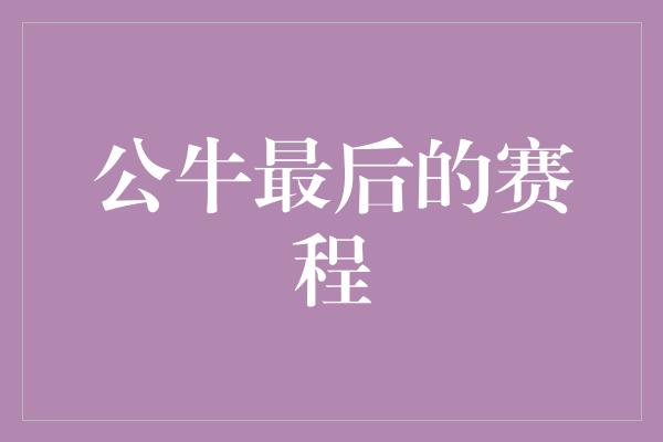 公牛队！公牛壮志凌云！最后的赛程决战风云！