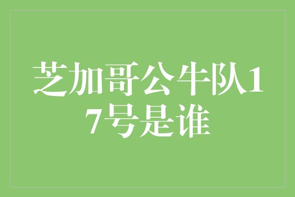 芝加哥公牛队17号是谁