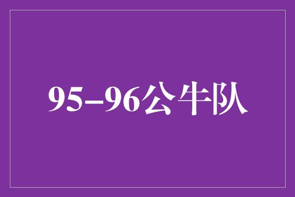 95-96公牛队