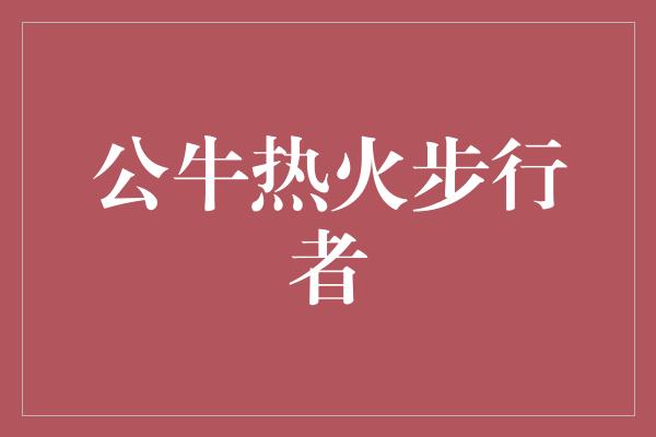 公牛队！竞技之火燃爆球场，公牛热火步行者的较量