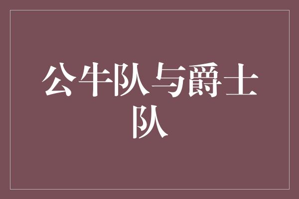 公牛队与爵士队