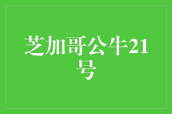 公牛队！回顾辉煌岁月，展望未来——芝加哥公牛21号