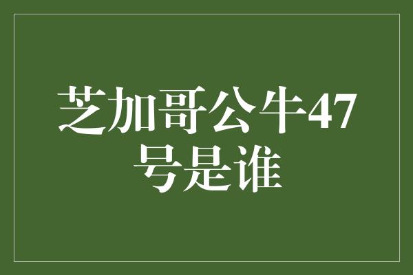 公牛队！揭秘芝加哥公牛47号 传奇球员的背后故事