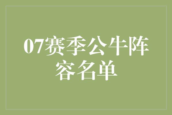 07赛季公牛阵容名单