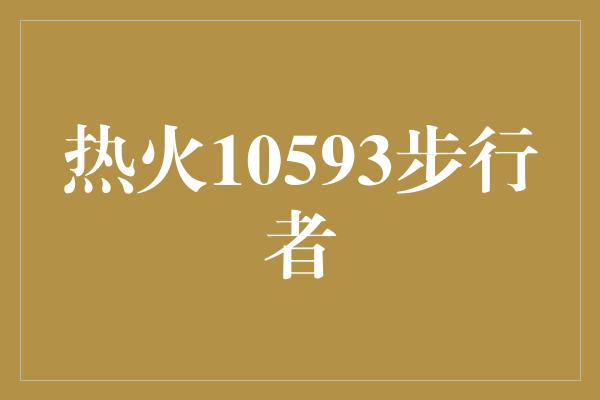 热火10593步行者