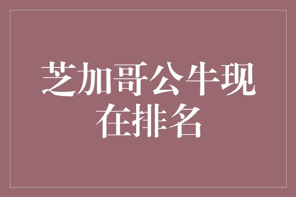 芝加哥公牛现在排名