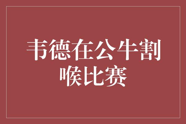 公牛队！韦德在公牛割喉比赛中展现出色实力