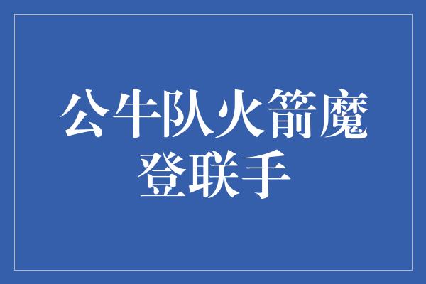 公牛队火箭魔登联手