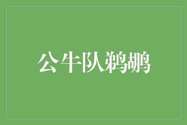 鹈鹕！公牛队与鹈鹕 携手追逐篮球梦想的新篇章