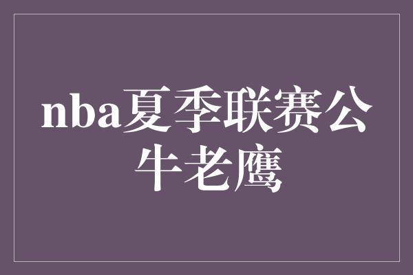 nba夏季联赛公牛老鹰