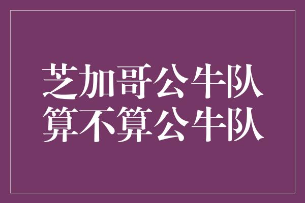 公牛队！芝加哥公牛队 在名字中继承与超越的坚强象征